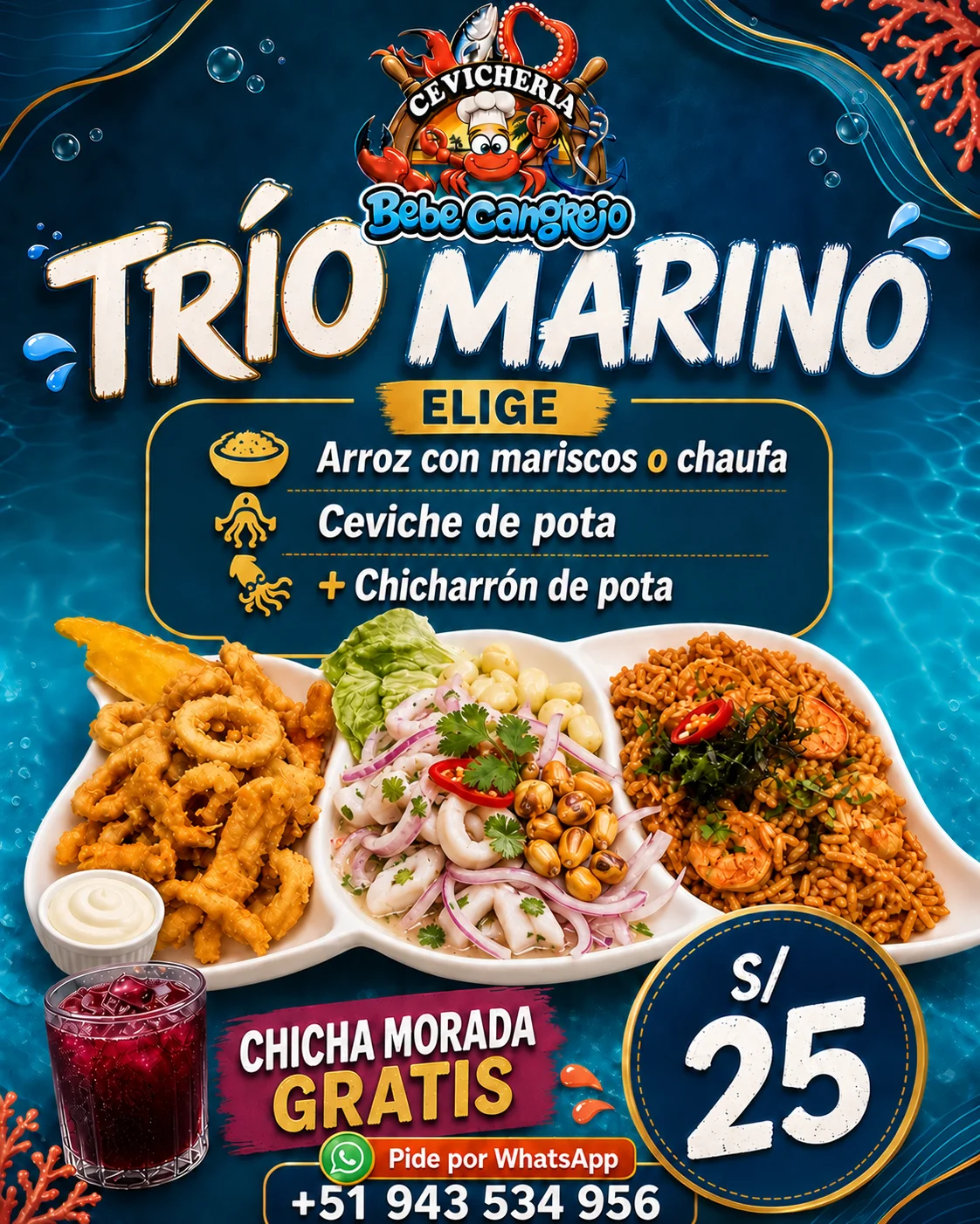 Trío Marino con ceviche de pota a S/25
